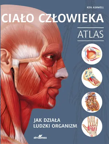 Okładka: Ciało człowieka. Atlas
