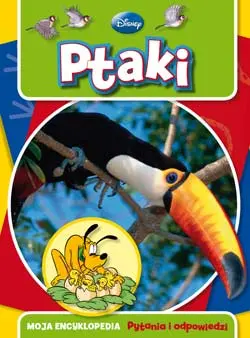 Okładka: Ptaki