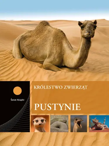 Okładka: Pustynie