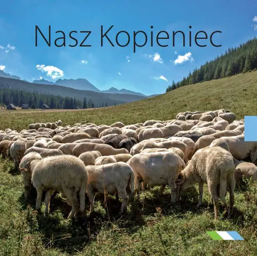 Okładka: Nasz Kopieniec