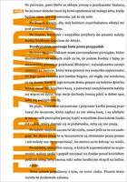 Okładka: Rozdeptałem czarnego kota przez przypadek