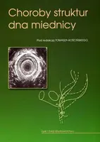 Okładka: Choroby struktur dna miednicy