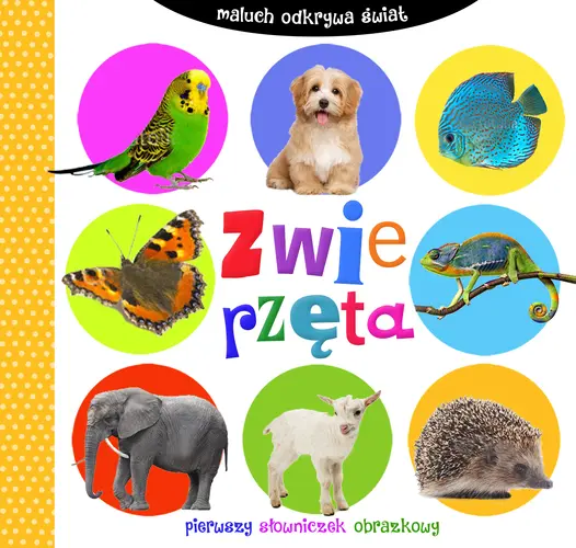 Okładka: Maluch odkrywa świat. Zwierzęta