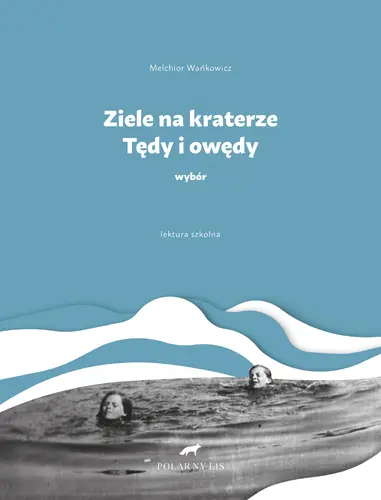Okładka: Ziele na kraterze. Tędy i owędy. Wybór.