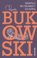 Okładka: Światło błyskawicy za górą