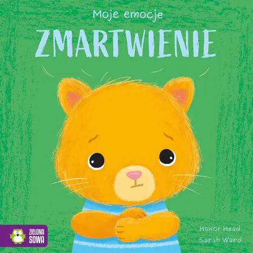 Okładka: Moje emocje. Zmartwienie