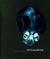 Okładka: Otchłanie