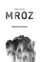 Okładka: Przewieszenie
