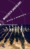 Okładka: Wieże z kamienia