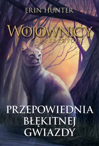 Okładka: Przepowiednia Błękitnej Gwiazdy /Nowa Baśń/