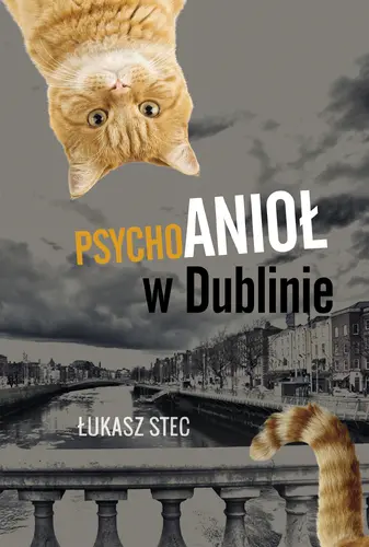 Okładka: Psychoanioł w Dublinie
