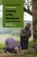 Okładka: Zostały tylko kamienie.