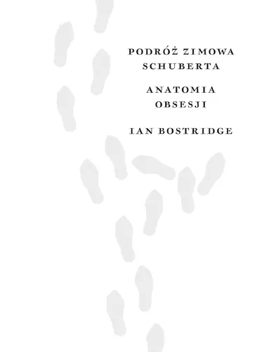 Okładka: Podróż zimowa Schuberta