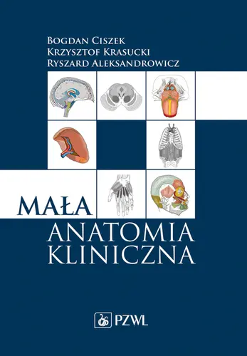 Okładka: Mała anatomia kliniczna