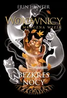 Okładka: Bezkres nocy