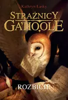 Okładka: Rozbicie (Strażnicy Ga’Hoole V)