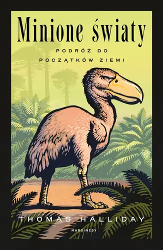 Okładka: Minione światy