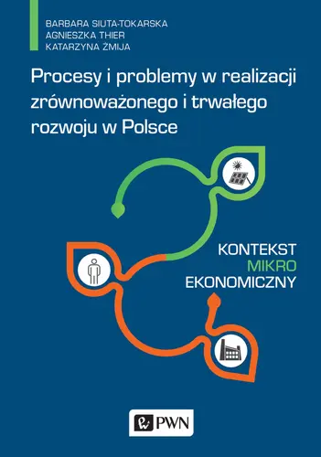 Okładka: Procesy i problemy w realizacji zrównoważonego i trwałego rozwoju w Polsce