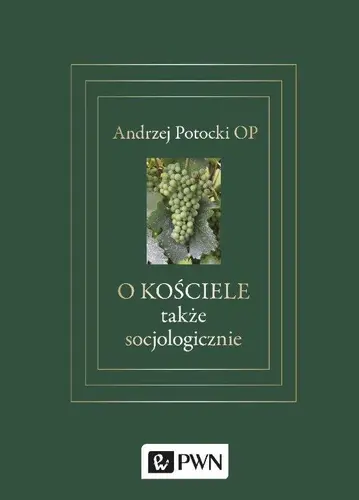 Okładka: O Kościele także socjologicznie