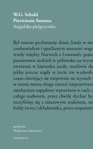 Okładka: Pierścienie Saturna