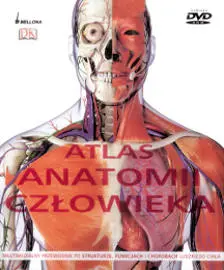 Okładka: Atlas anatomii człowieka