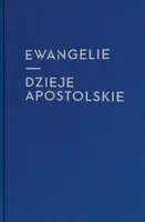 Okładka: Ewangelie i Dzieje Apostolskie ( dla młodzieży)