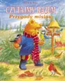 Okładka: Przygody misiów. Czytajmy razem