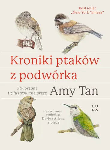 Okładka: Kroniki ptaków z podwórka