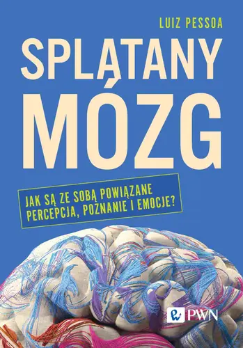 Okładka: Splątany mózg
