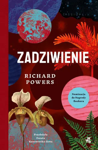 Okładka: Zadziwienie