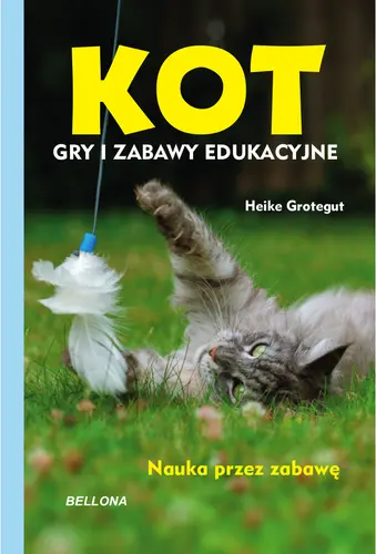 Okładka: Kot. Gry i zabawy edukacyjne