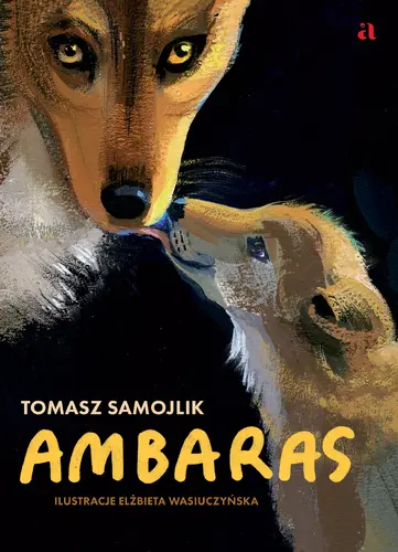 Okładka: Ambaras