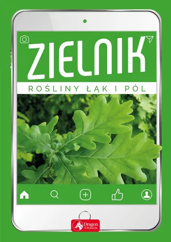 Okładka: Zielnik