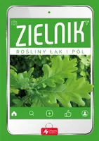 Okładka: Zielnik