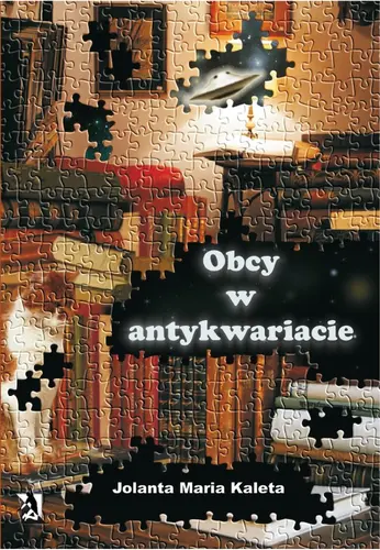 Okładka: Obcy w antykwariacie