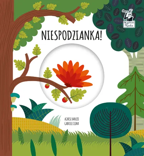 Okładka: Niespodzianka. Magiczne koło. Kapitan Nauka