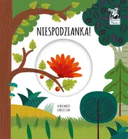 Okładka: Niespodzianka. Magiczne koło. Kapitan Nauka