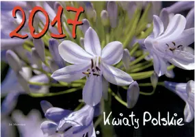 Okładka: Kalendarz wiszący 2017. Kwiaty Polskie