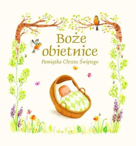 Okładka: Boże Obietnice.