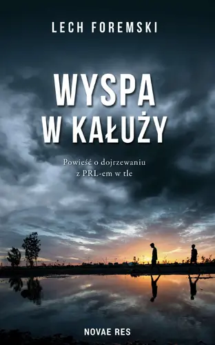 Okładka: Wyspa w kałuży