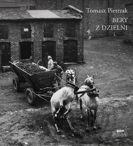 Okładka: Bery z dzielni