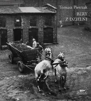 Okładka: Bery z dzielni