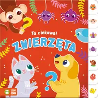 Okładka: To ciekawe! Zwierzęta