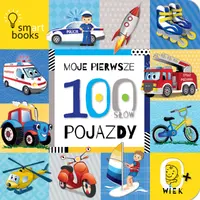 Okładka: Moje Pierwsze 100 Słów. Pojazdy. 0+