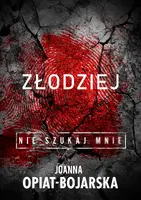 Okładka: Złodziej. Nie szukaj mnie. Tom 1