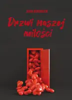 Okładka: Drzwi naszej miłości