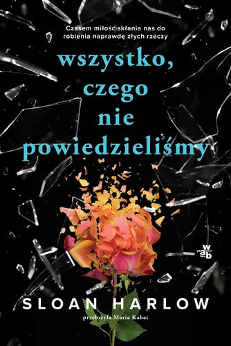 Okładka: Wszystko, czego nie powiedzieliśmy