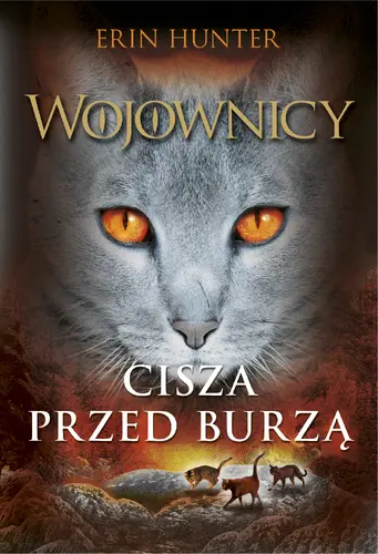 Okładka: Cisza przed burzą