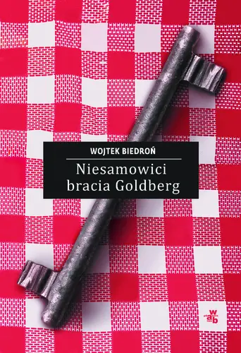 Okładka: Niesamowici bracia Goldberg