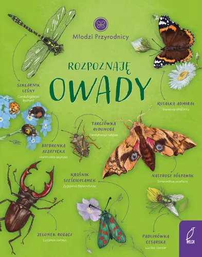Okładka: Młodzi przyrodnicy. Rozpoznaję owady